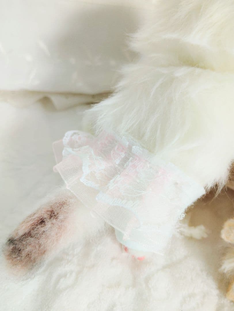 hana様御予約❤生後10日♡子猫ちゃんとうさちゃんのぬいぐるみ♡おむつ♡