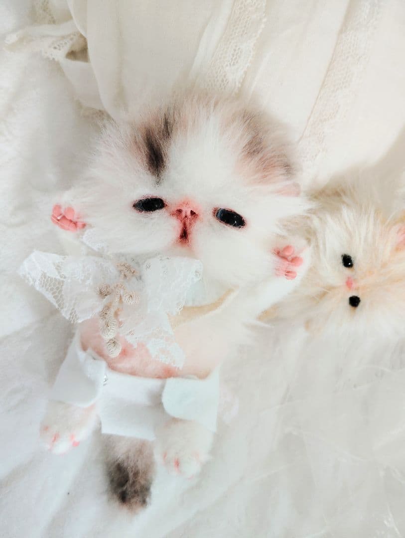 hana様御予約❤生後10日♡子猫ちゃんとうさちゃんのぬいぐるみ♡おむつ♡