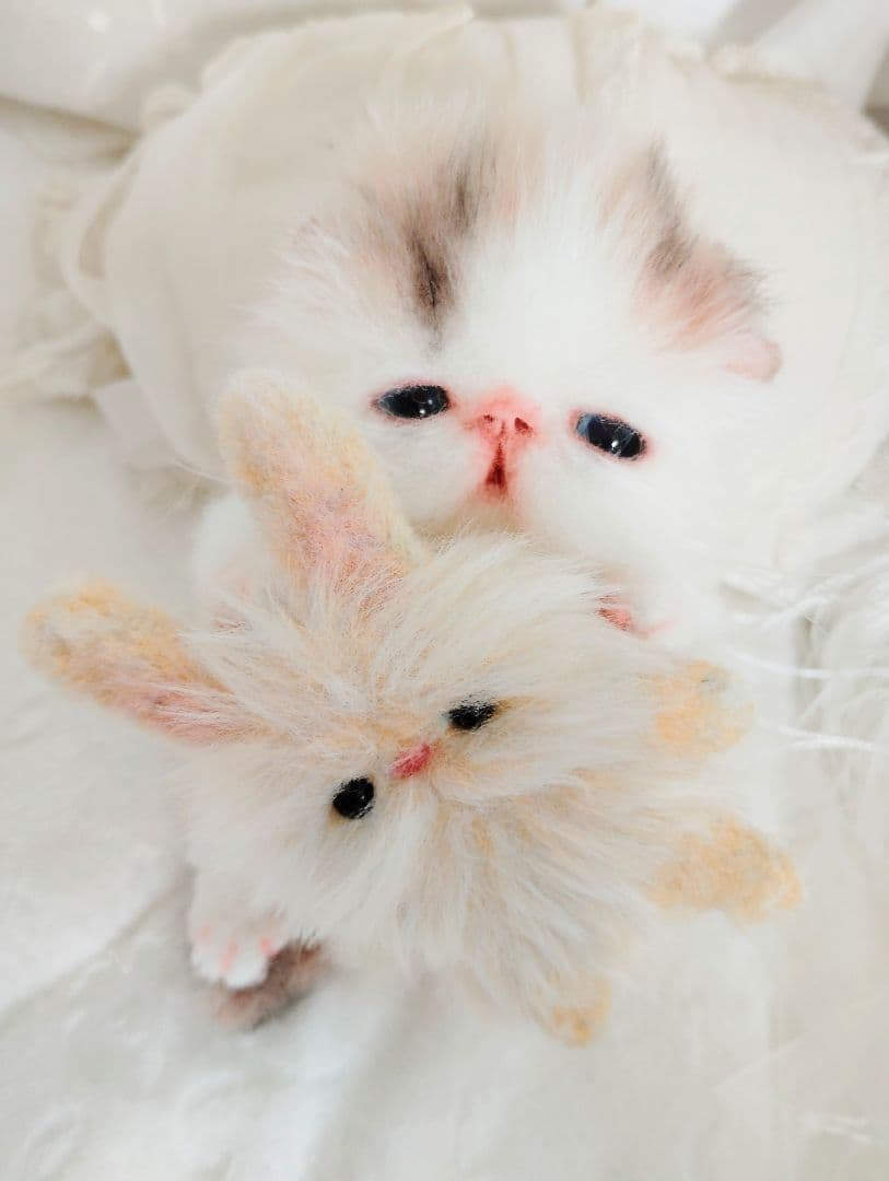 hana様御予約❤生後10日♡子猫ちゃんとうさちゃんのぬいぐるみ♡おむつ♡