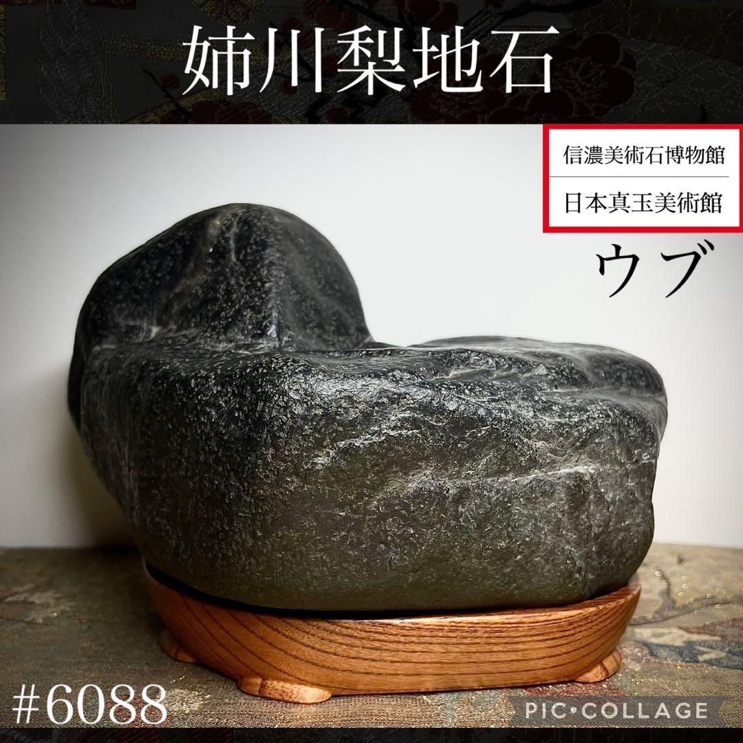 姉川梨地石 横18.5×高13×奥行15(cm) 3.74kg  水石 盆栽