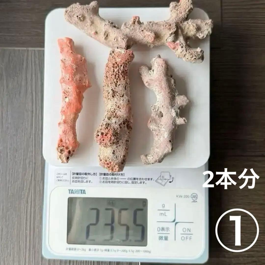珊瑚　原木　桃色　コーラルピンク系　総量235.5g