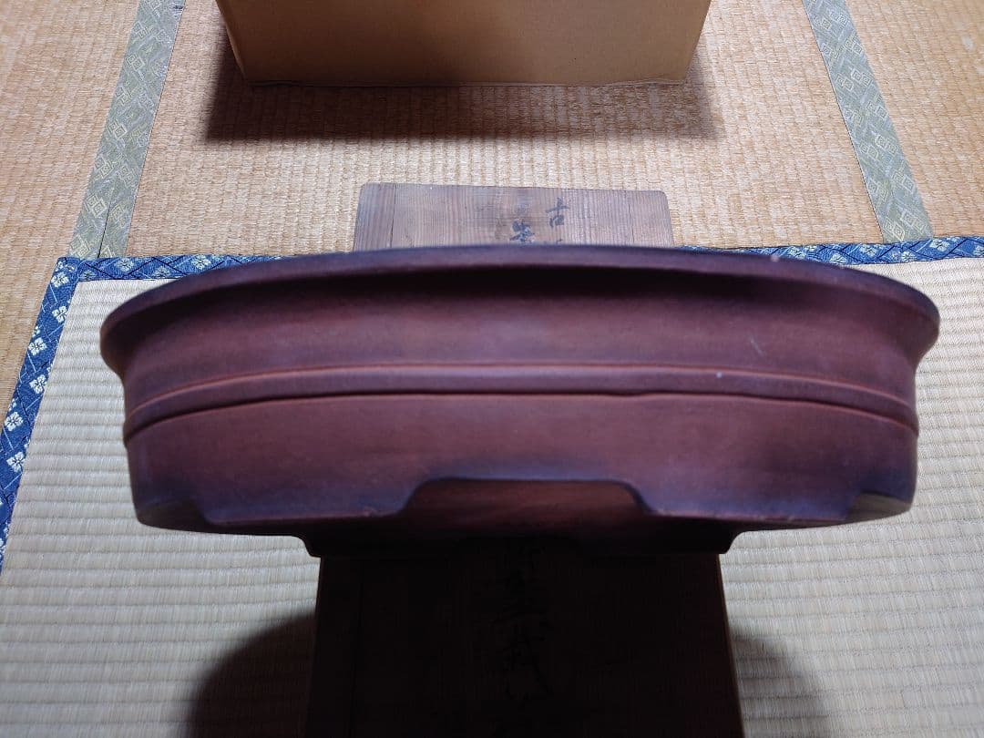 盆栽　鉢　中国　古渡　朱泥楕円形胴紐　幅44.3cm