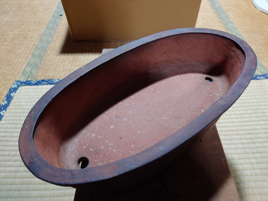 盆栽　鉢　中国　古渡　朱泥楕円形胴紐　幅44.3cm