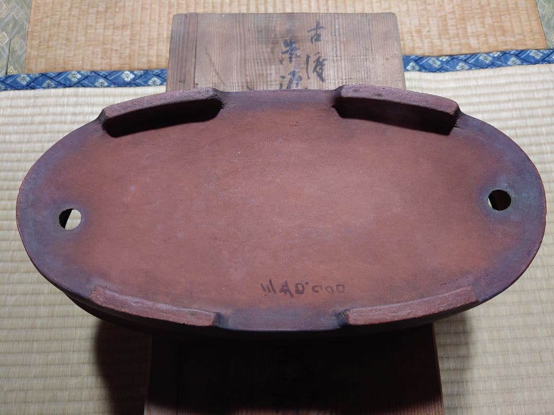 盆栽　鉢　中国　古渡　朱泥楕円形胴紐　幅44.3cm