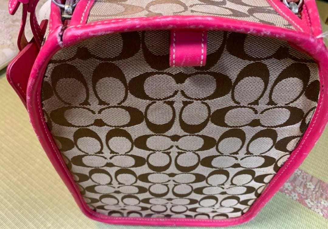 【激レア】Coach キャリーバッグ ペット用　ペットキャリー