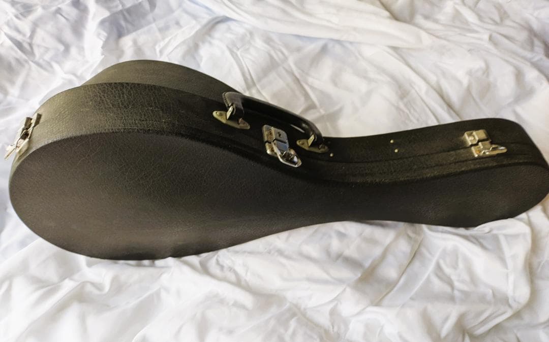 ✨SUZUKI M-30 木製 8弦マンドリン 本体 ＋ 専用ハードケース付き✨