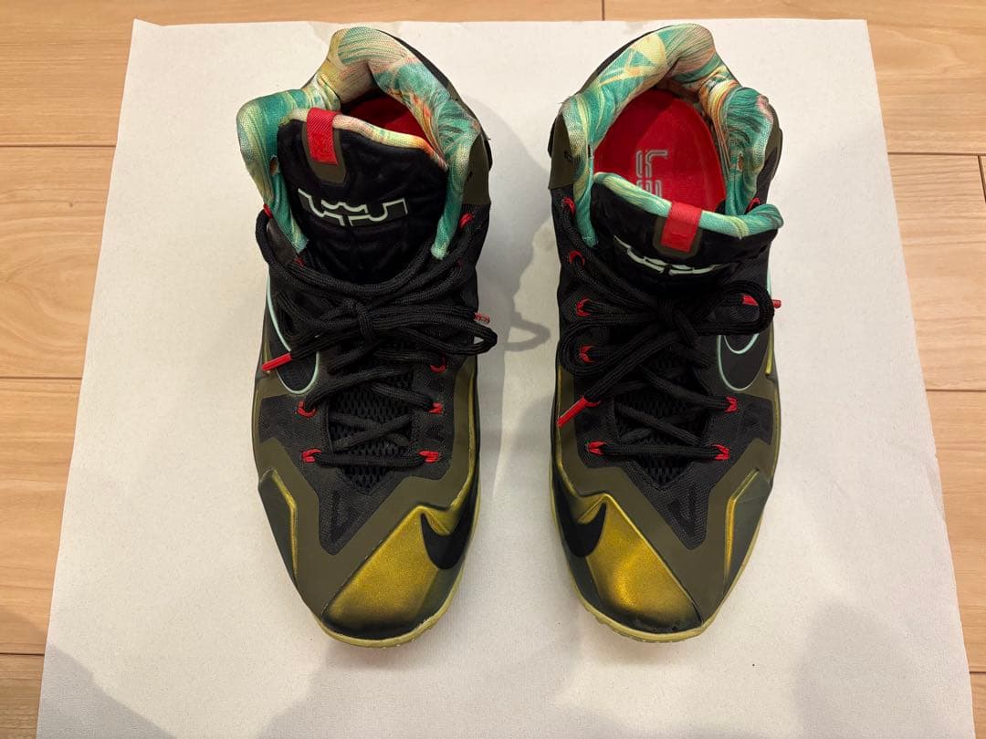 Nike Lebron 11 27.5cm レブロン　バッシュ