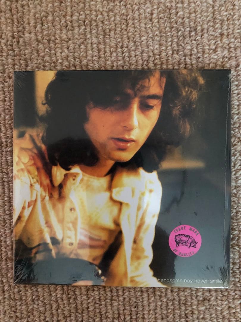 洋楽 LED ZEPPELIN  DRY