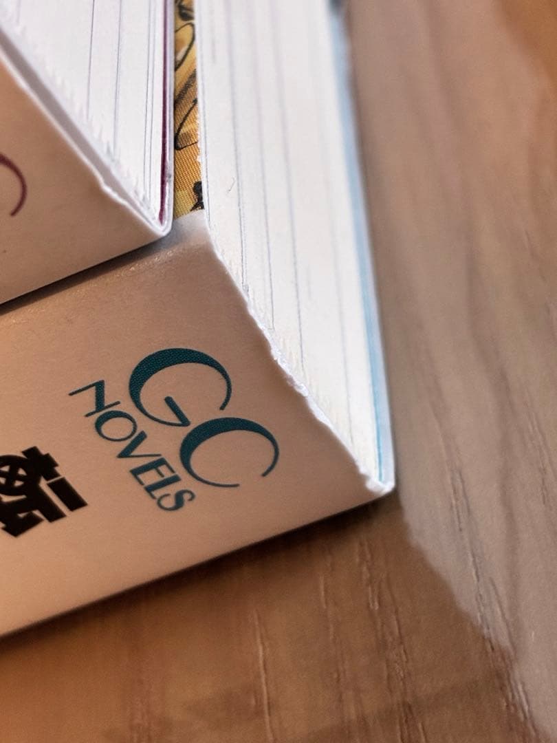 転生したらスライムだった件 6～22巻