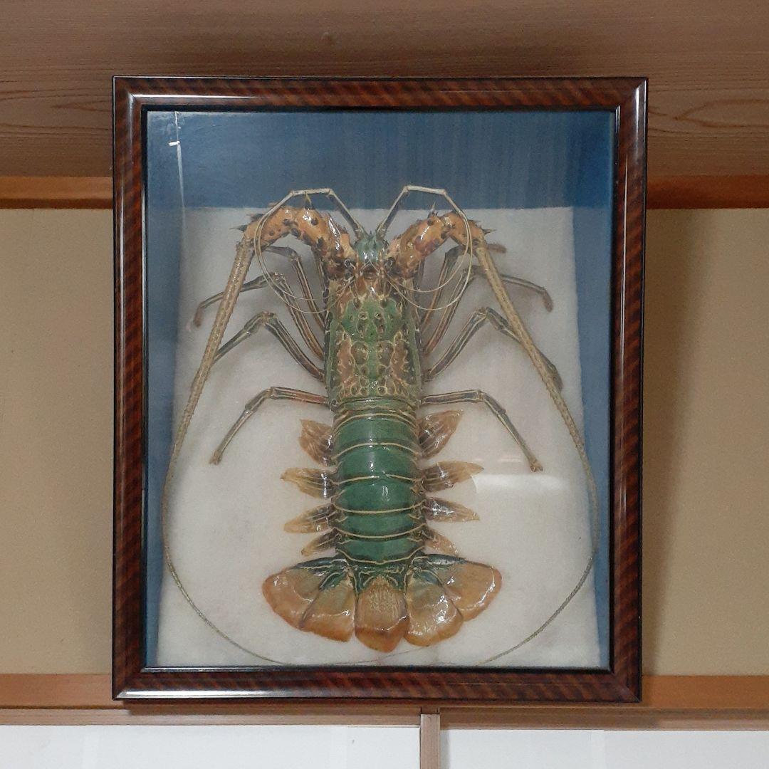 巨大海老の飾り物