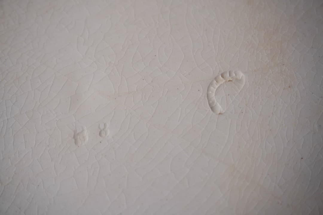 フランス アンティーク クレイユモントロー オクトゴナルプレート 陶器 平皿③