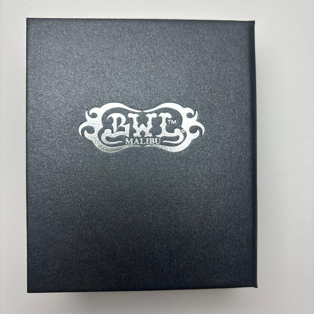 ⚠️超希少 TUBE × BWL 25th アニバーサリーシルバーペンダント箱付き