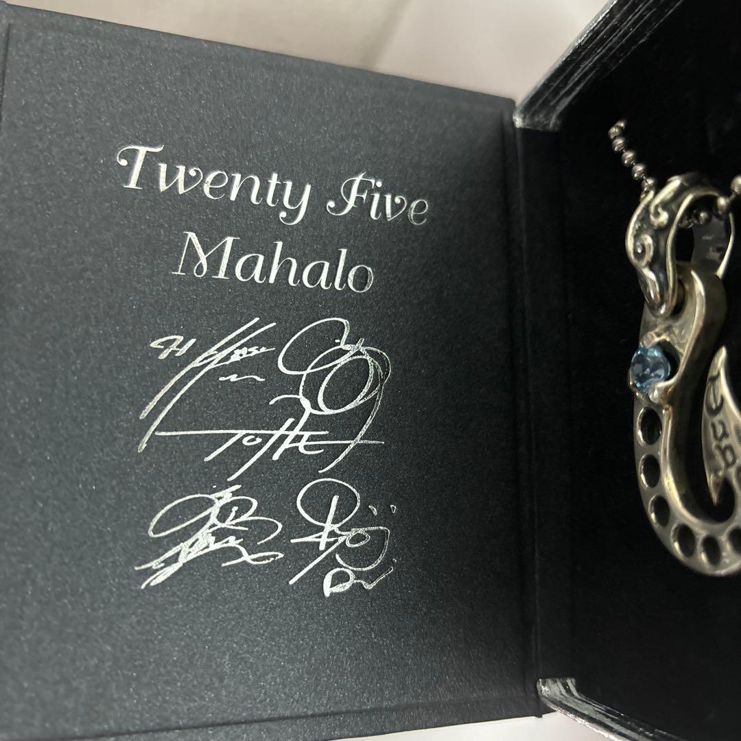 ⚠️超希少 TUBE × BWL 25th アニバーサリーシルバーペンダント箱付き