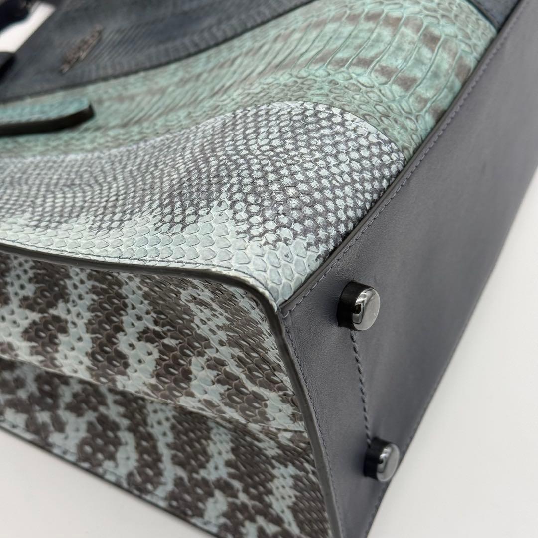 COACH チャーリーキャリーオール ヘビ革 ショルダーバッグ