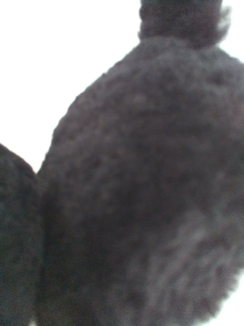 UGG イヤーマフ黒　イヤーマフラー　アグ