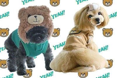 新品 トップス＆インナーパンツcircuscircusサーカスサーカス