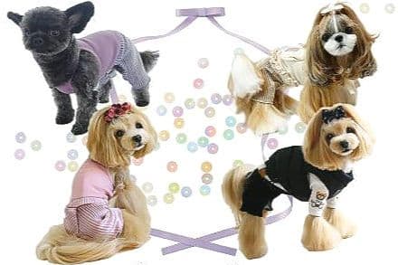 新品 トップス＆インナーパンツcircuscircusサーカスサーカス