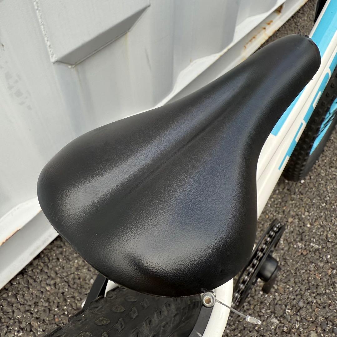 子供用自転車 20インチ Precaliber身長114-132cm ホワイト