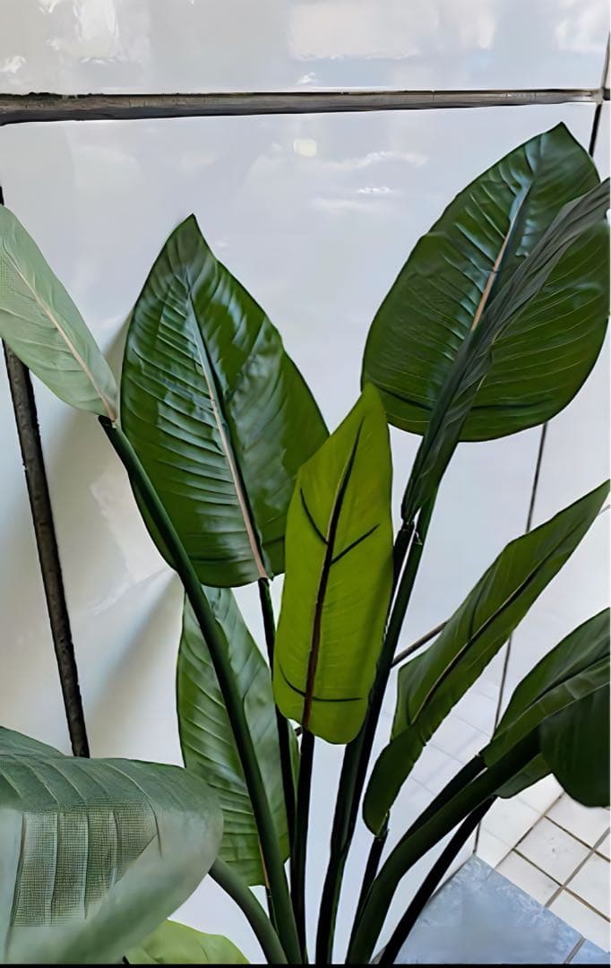 光触媒　人工観葉植物　フェイクグリーン　オーガスタ　ストレッチア160@m