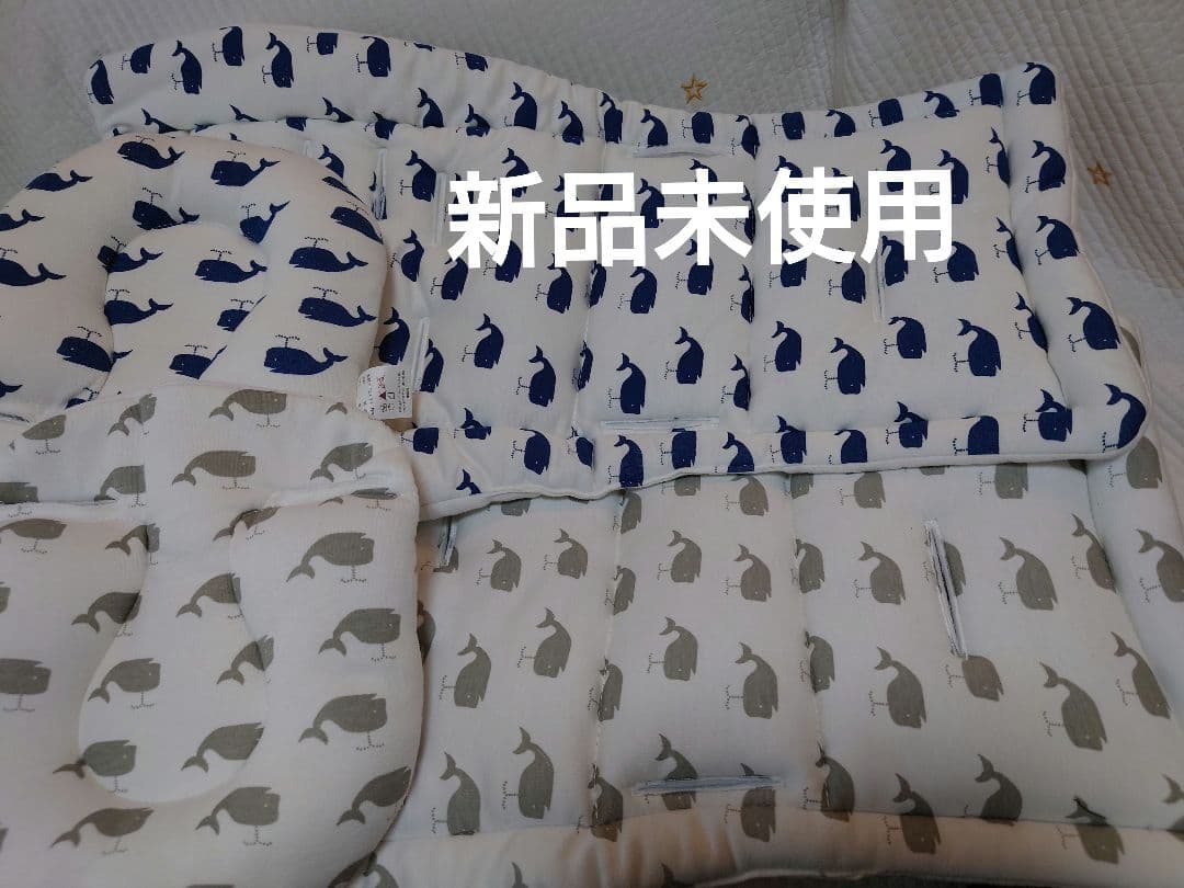 エアバギー ココダブルEX フロムバース 2人乗り AIRBUGGY