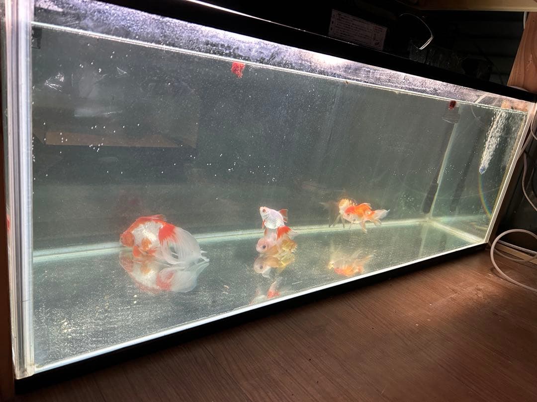 1200水槽　ガラス