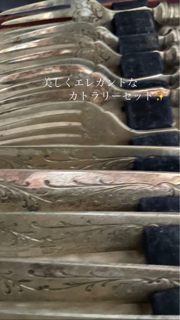 *️⃣プロフ必読❗️難あり❗️アンティーク フランス カトラリーセット アイボリー
