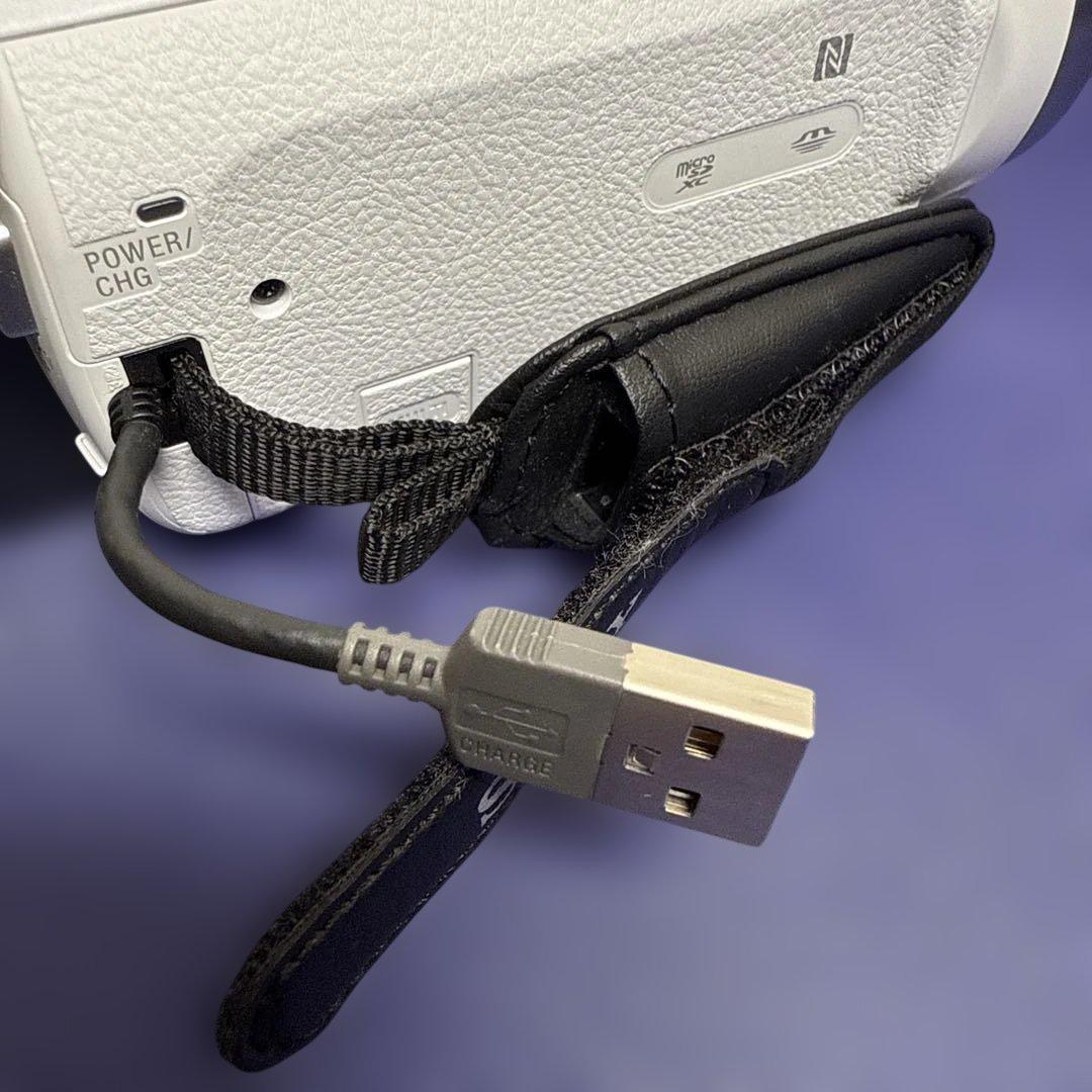 ビデオカメラ Sony Handycam HDR-CX680