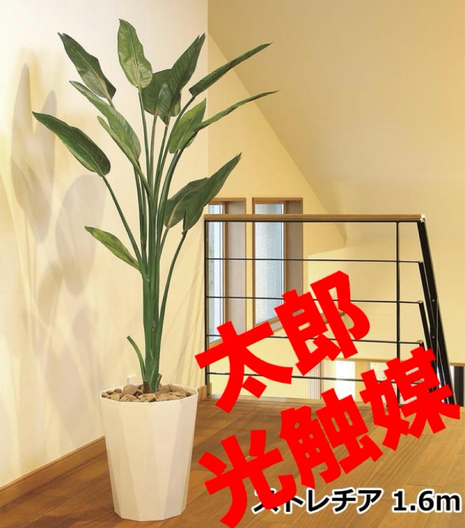 光触媒　人工観葉植物　ウォールグリーン　フェイクグリーン　ストレチア1.6m