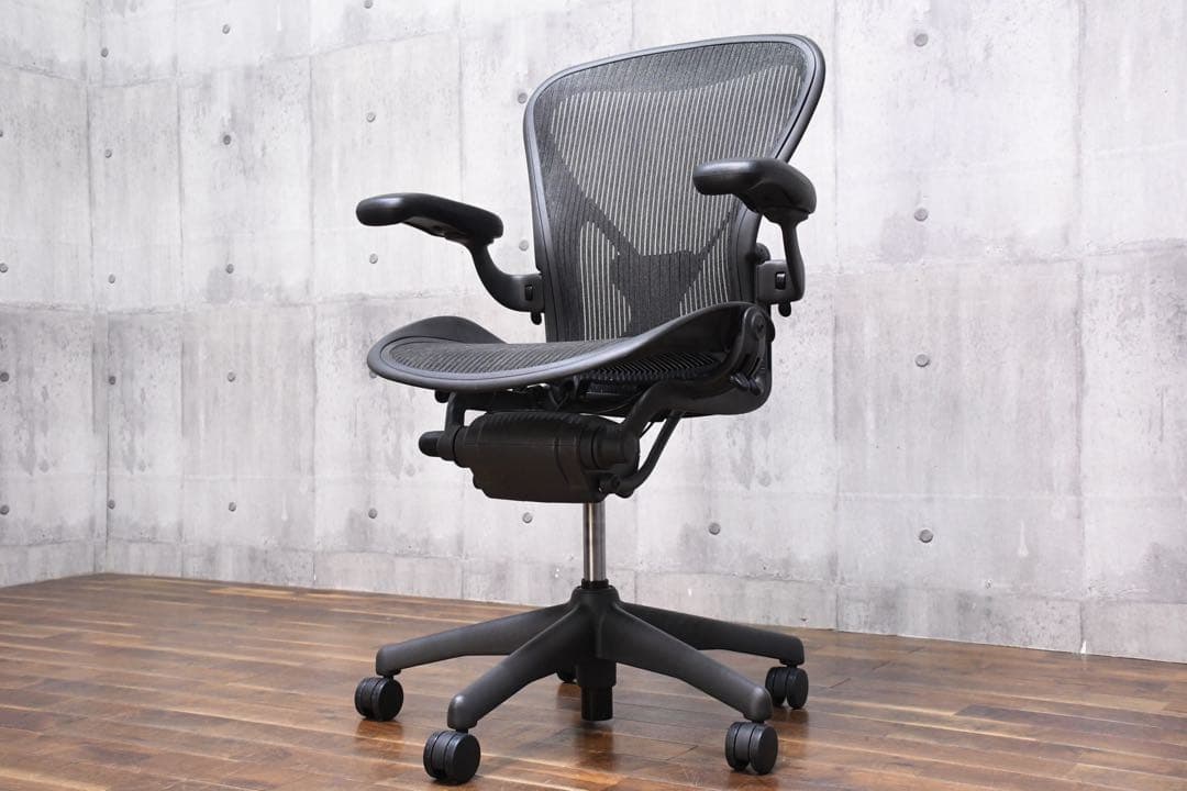 EDK1 ハーマンミラー アーロンチェア ポスチャーフィット Bサイズ フル装備