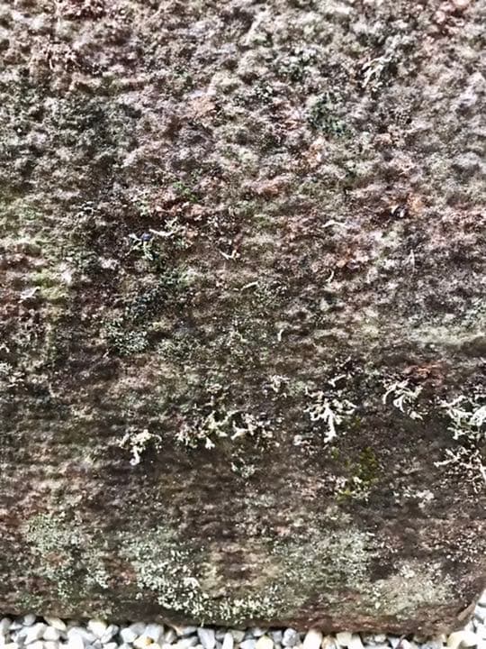 【天然石台形水鉢・蹲・向鉢】ガーデニング箱庭造園水石飾り石バードバス