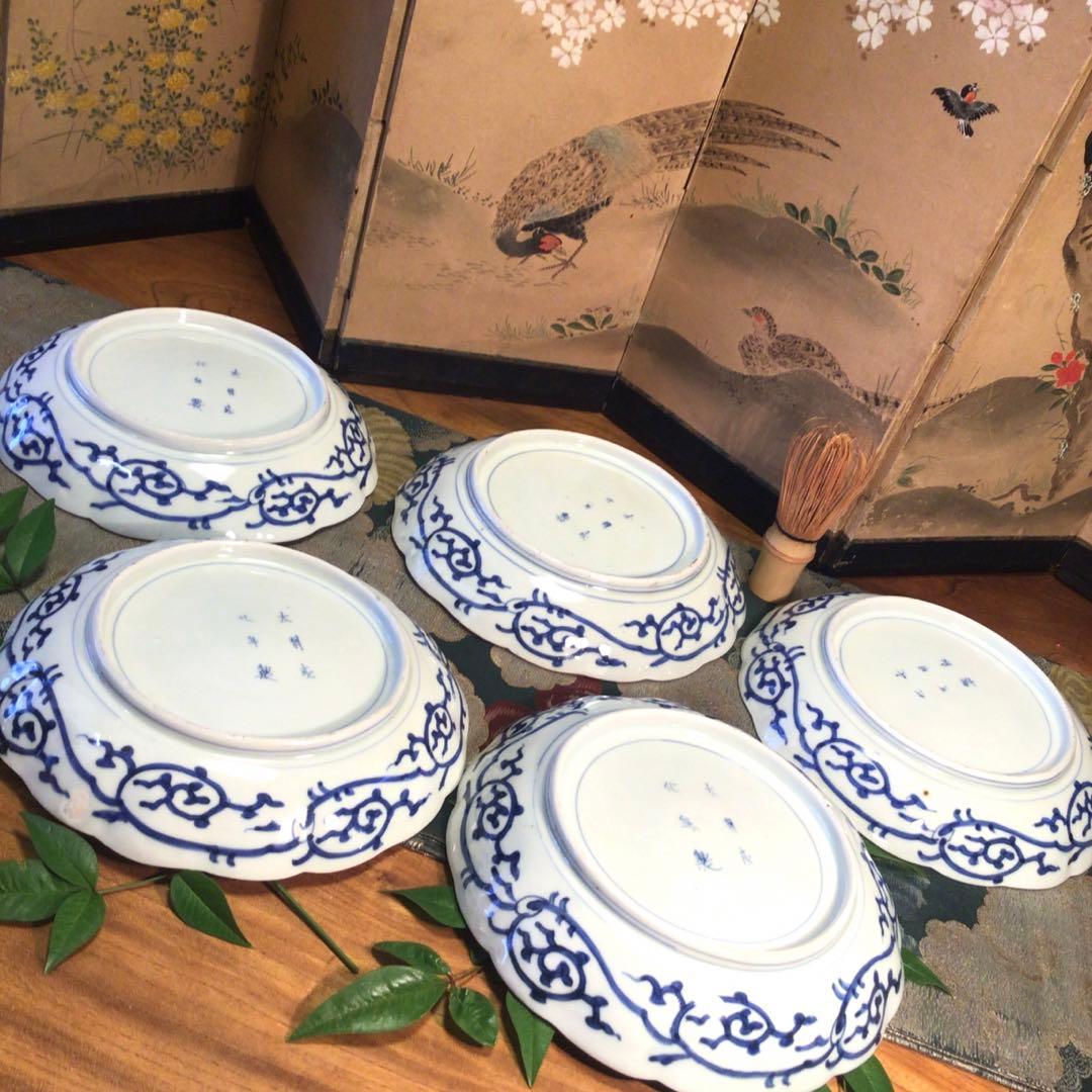 A781 古伊万里　上手　微塵唐草紋様　輪花型　7寸皿　5枚