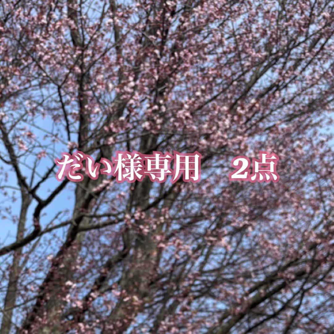 専用2点まとめ　US輸入　シルバー999 喜平ブレスレット