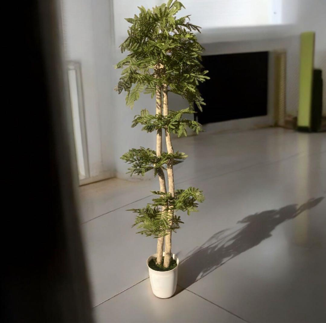 光触媒　人工観葉植物　ウォールグリーン　フェイクグリーン　エバーフレッシュ182