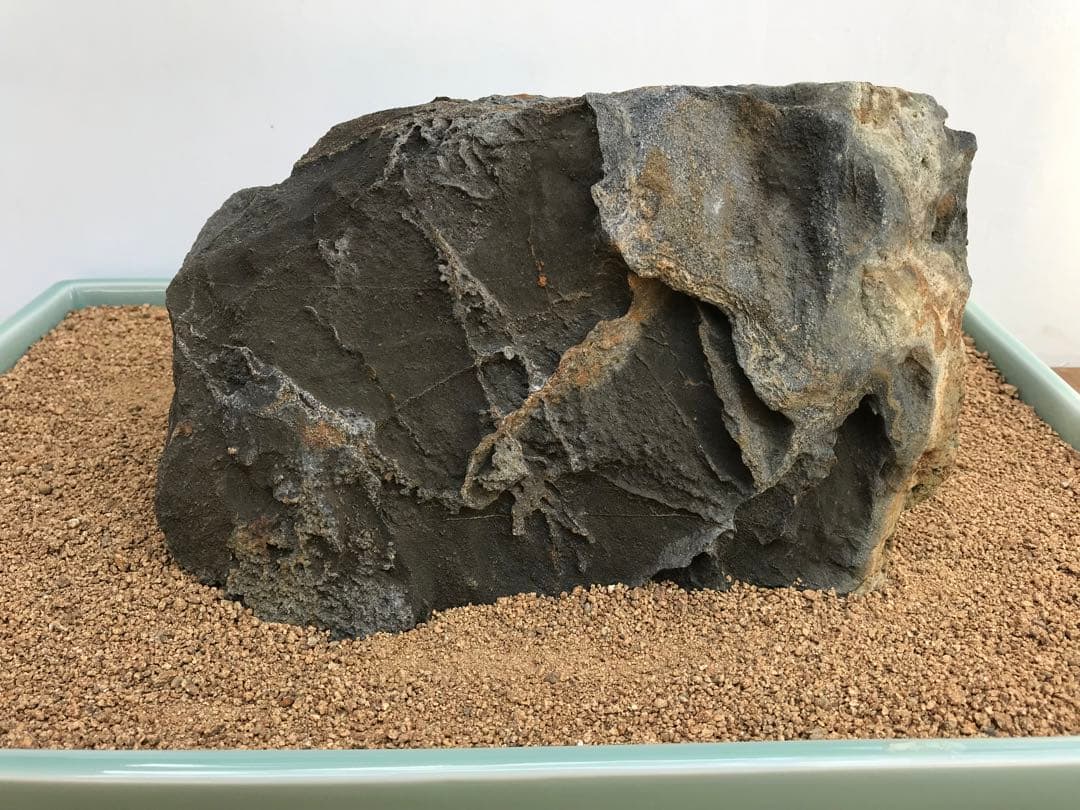 【水石】銘石 加茂川『古道真黒石』