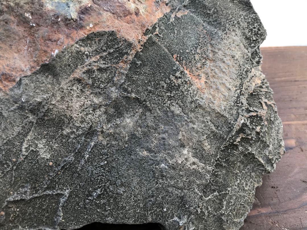 【水石】銘石 加茂川『古道真黒石』