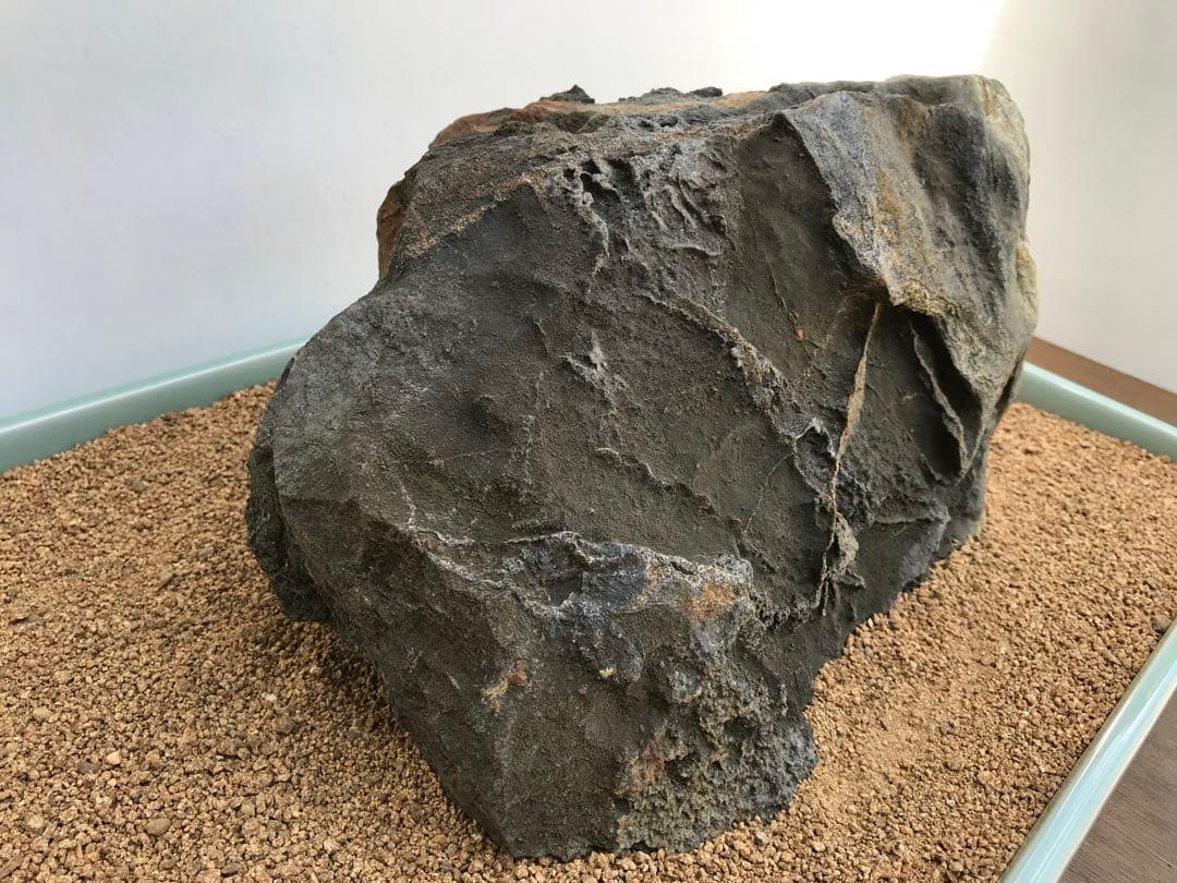 【水石】銘石 加茂川『古道真黒石』