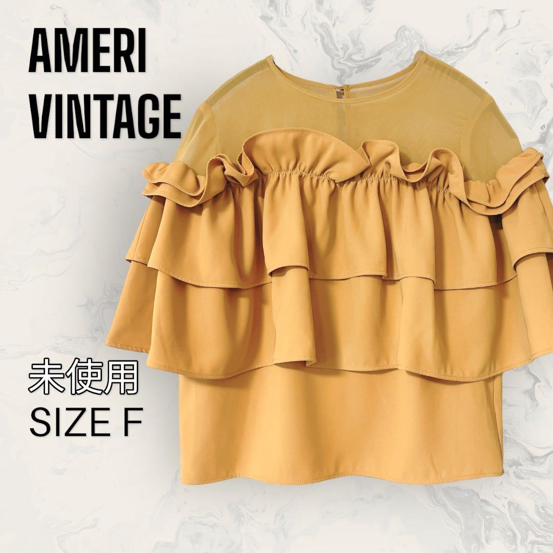 【未使用】 AMERI VINTAGE UNDULATE SHEER TOP