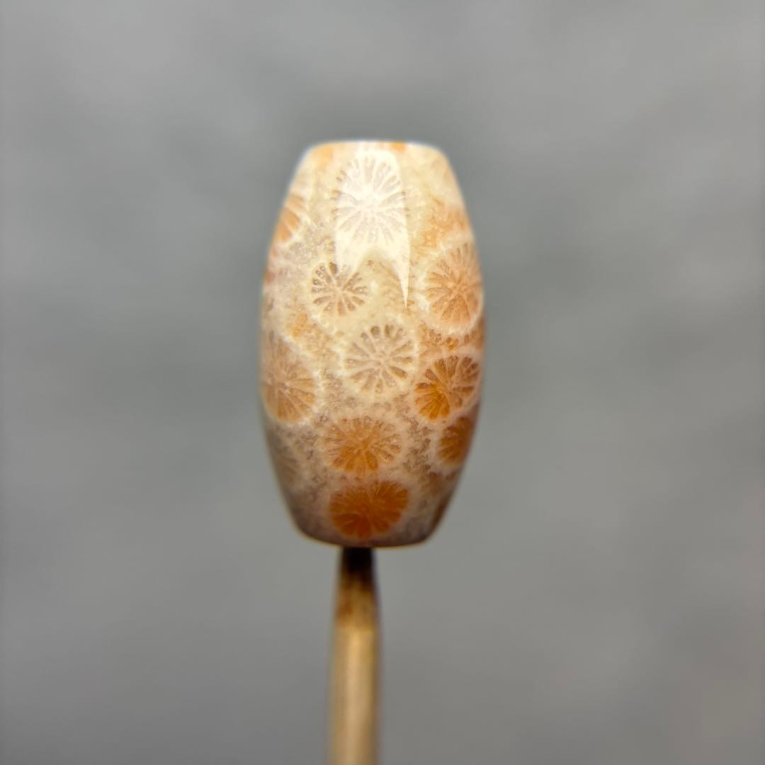 あずきちゃんフォッシルコーラル　天珠　1-318