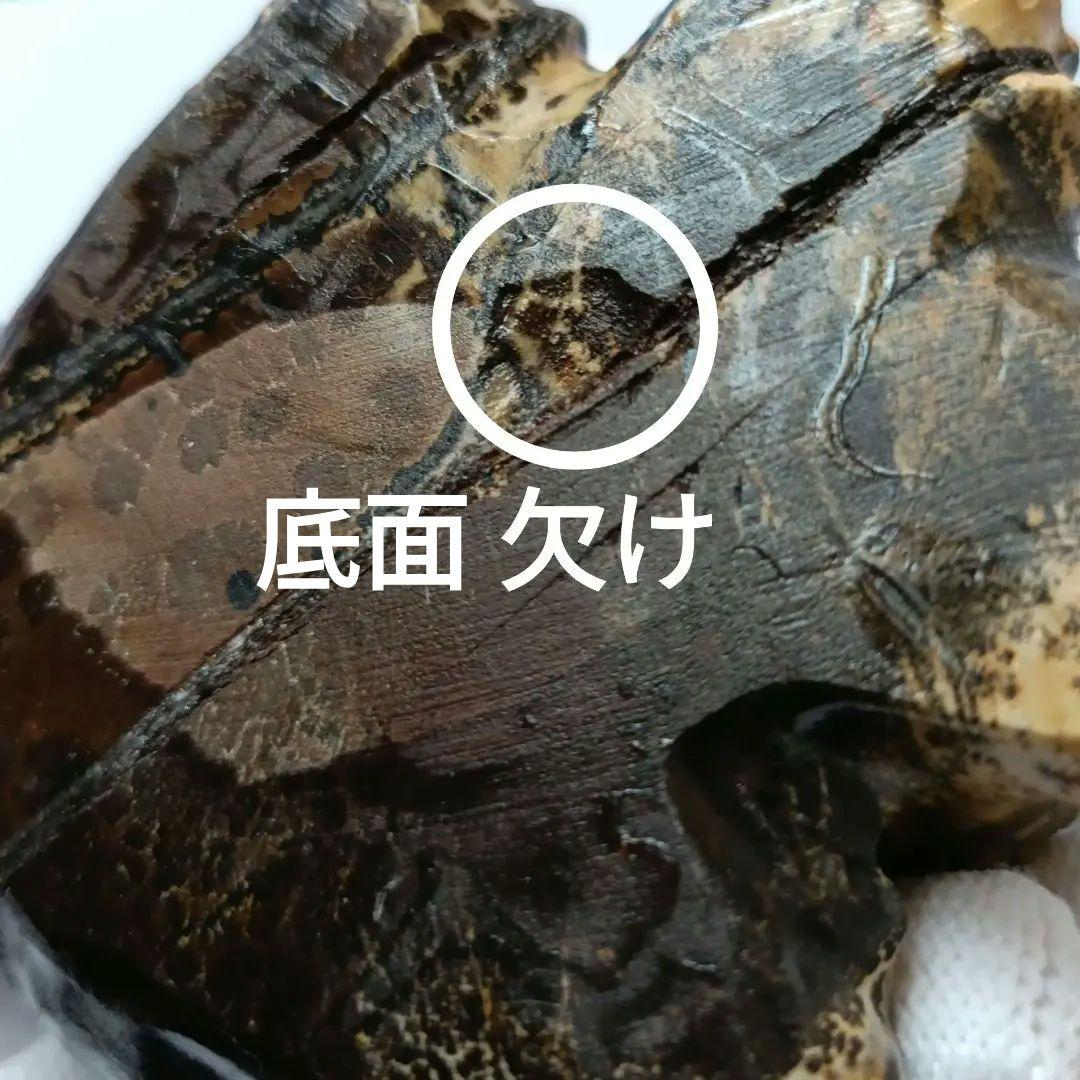 BIG✨ ピクチャージャスパー　絵画碧玉　お座り猫　天然石　パワーストーン　置物