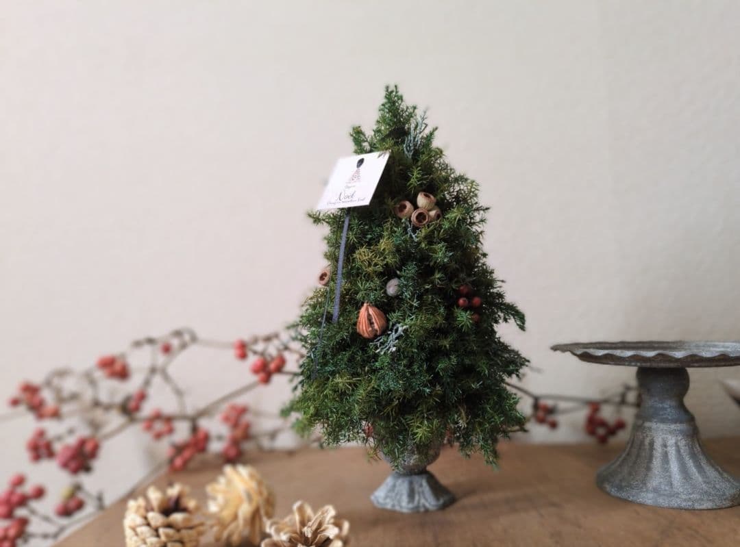 コニファーのクリスマスツリー プリザーブド Christmas tree