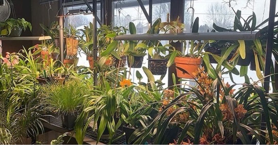 spiderfarmer SF-600【正規代理店3年補償付き】