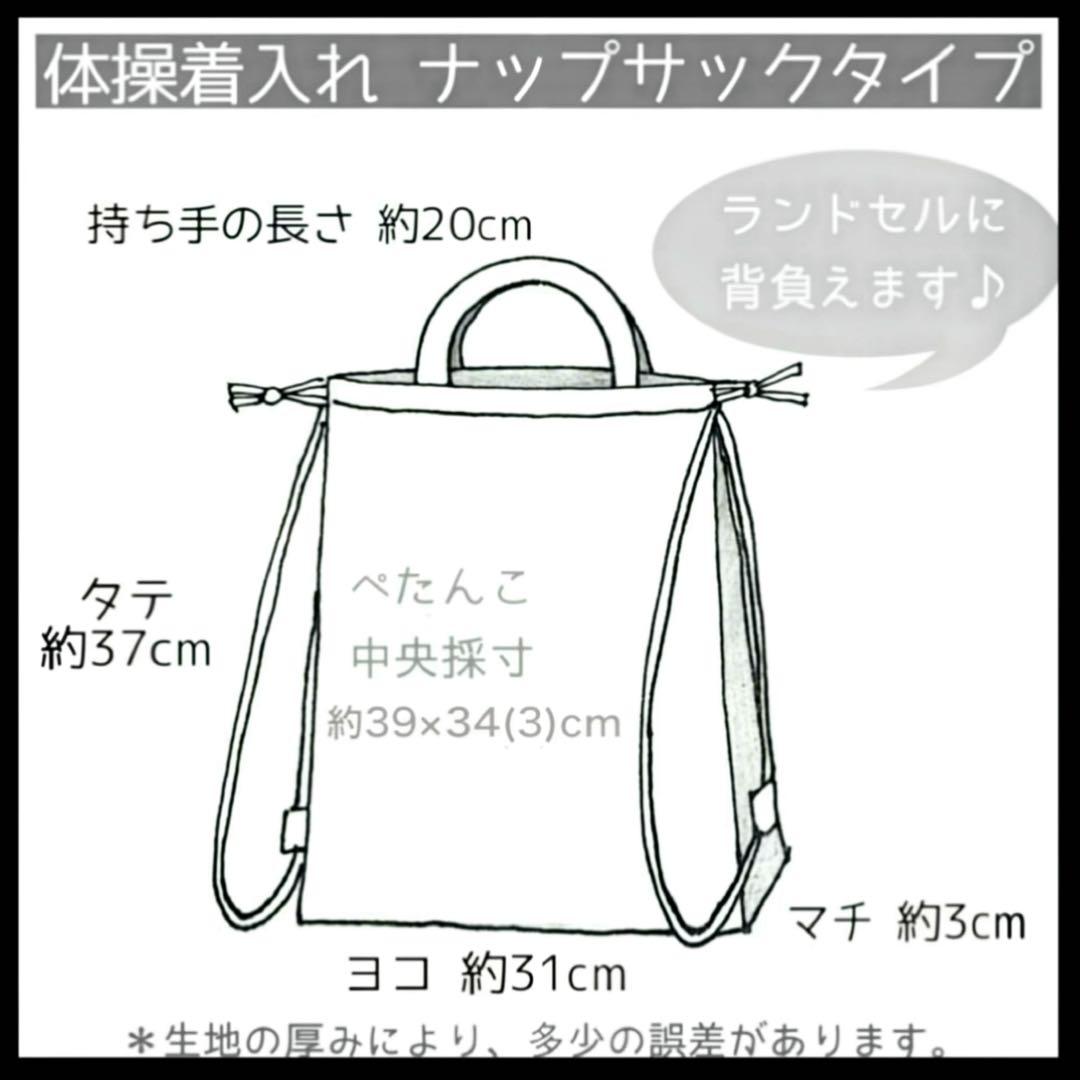 入園 入学 セット レッスンバッグ 上履き入れ 体操服入れ 巾着袋 男の子 蛍光