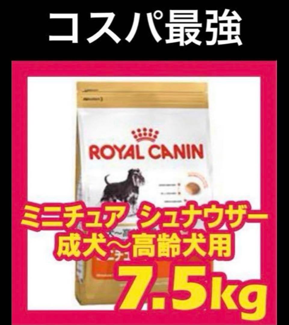 ２個セット CANIN ミニチュアシュナウザー 7.5kg