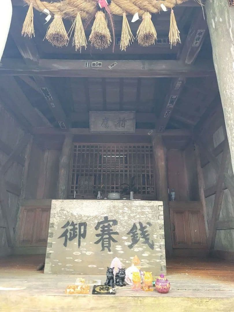 こころ様