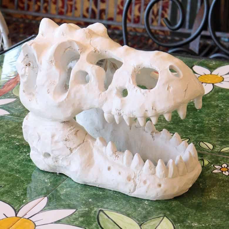 レジン スカルオブジェ ダイナソー 置物 オーナメント アンティーク 恐竜