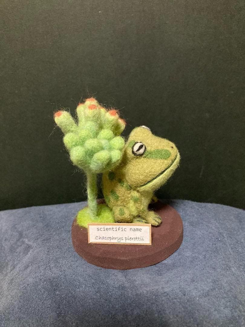 メルカリのみ羊毛・　標本タイプデフォルメ　orderページ