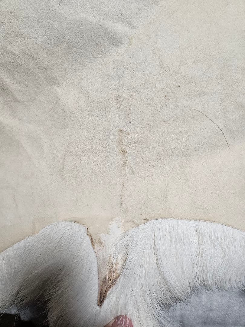 ​極美品 トナカイ 毛皮 フィンランド産 ラグ 大判・臭いなし