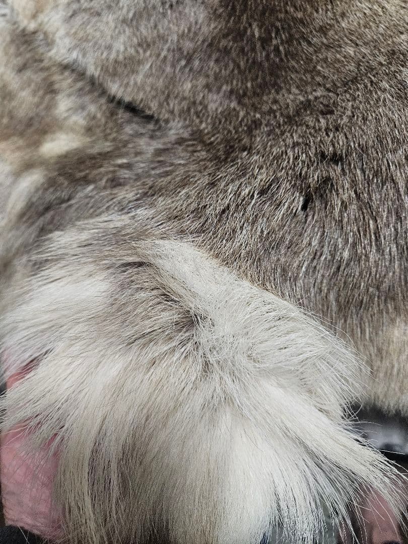 ​極美品 トナカイ 毛皮 フィンランド産 ラグ 大判・臭いなし