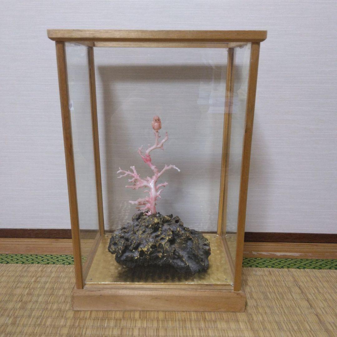 桃色珊瑚鴟鵂文置物 ケース付