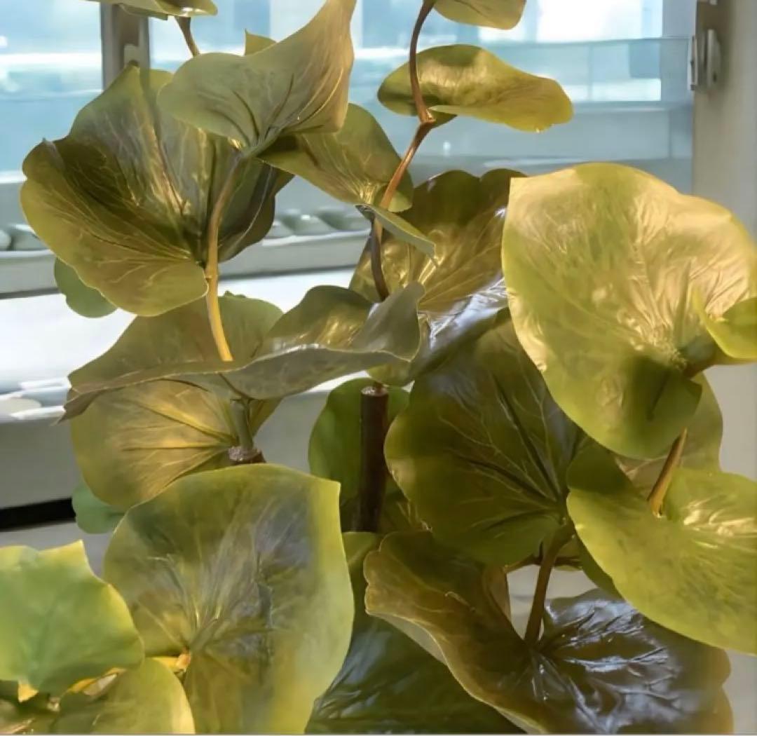 光触媒　人工観葉植物　ウォールグリーン　フェイクグリーン　スリムシーグレープ11